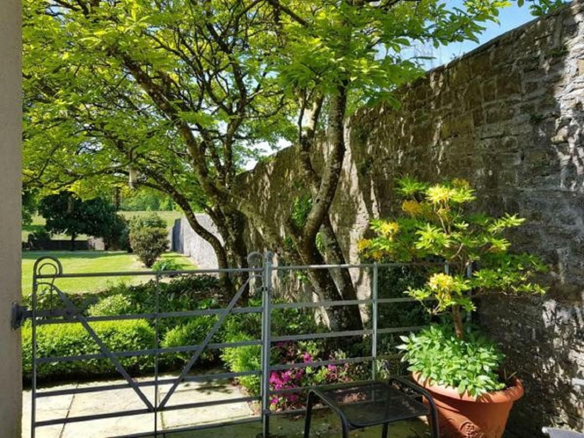 Llwynhelig Manor Bed and Breakfast Llandeilo Exteriör bild