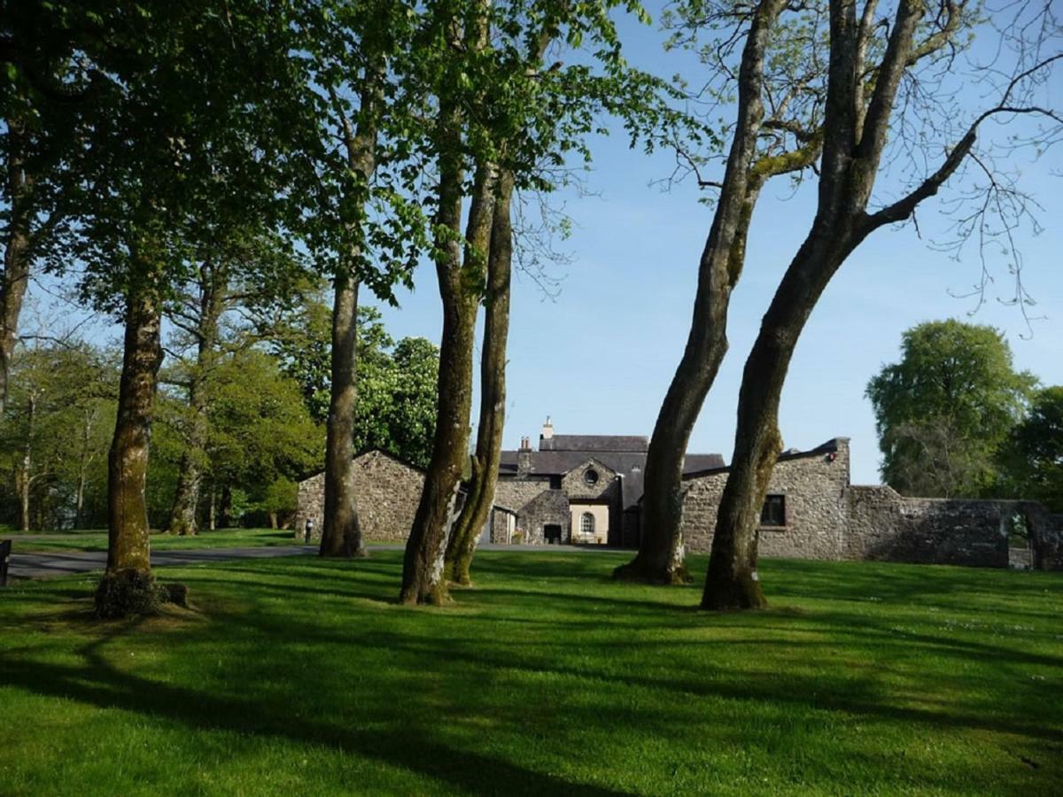 Llwynhelig Manor Bed and Breakfast Llandeilo Exteriör bild